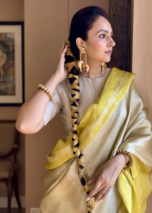 Banarasi Tissue brocade