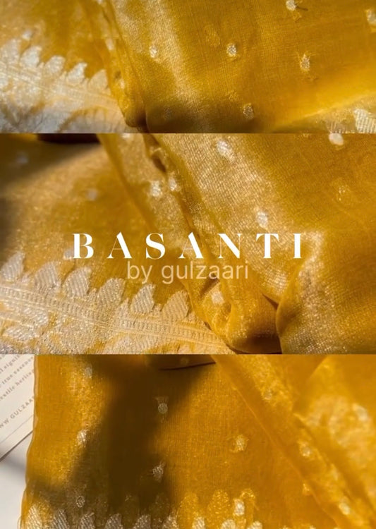 Basanti Tissue georgette